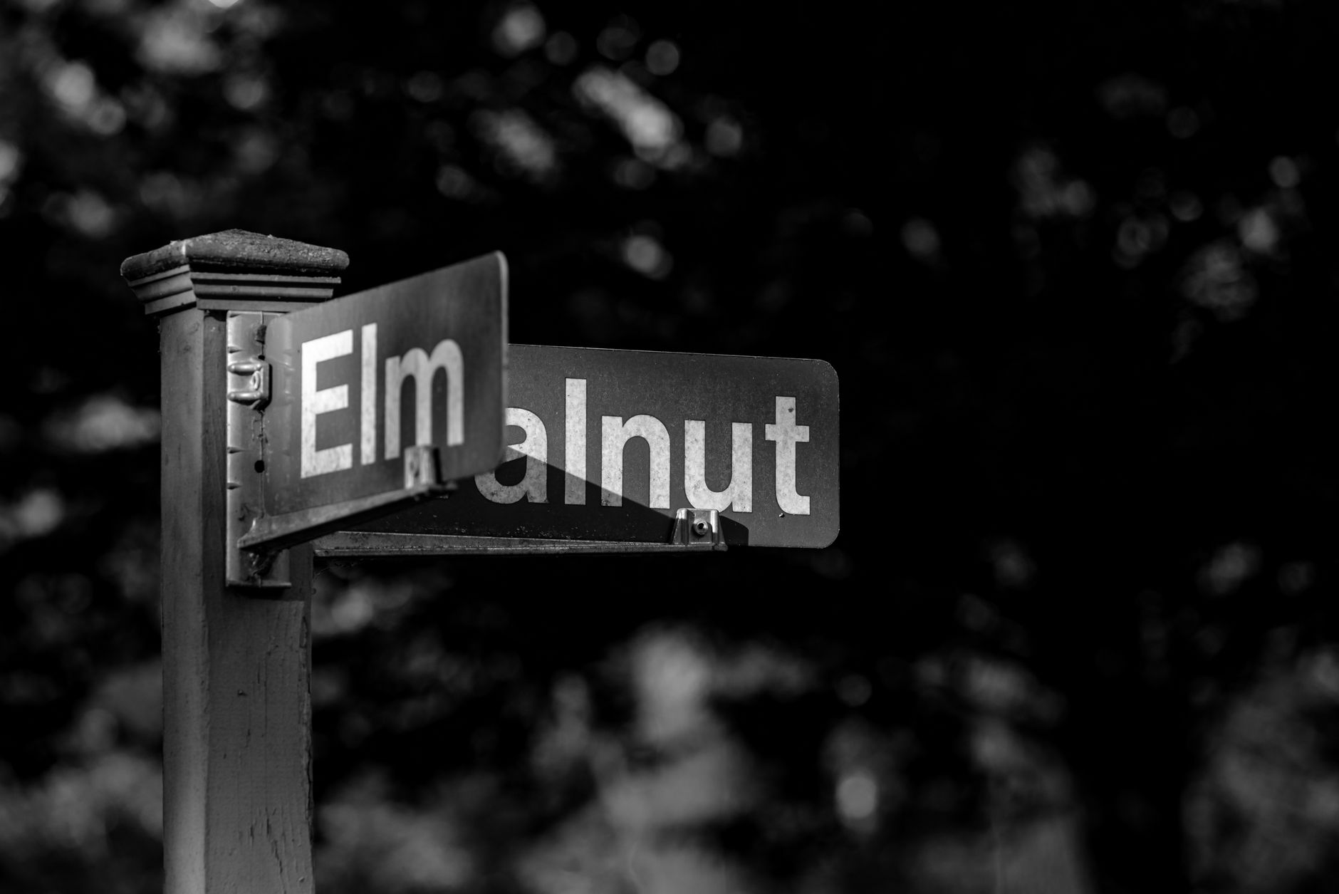 Elm and Walnut street signs
